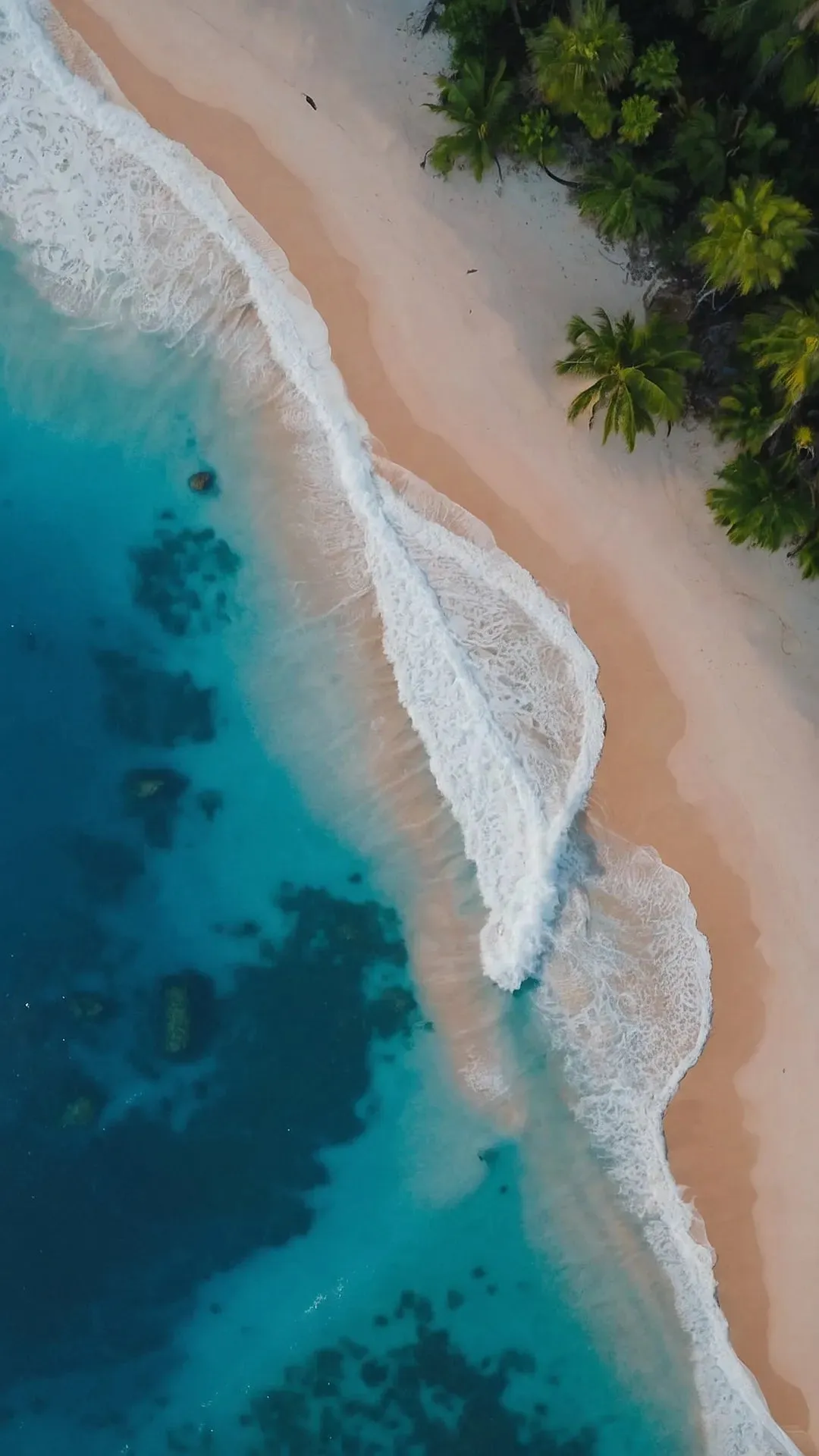 Your Digital Zen: 15 Nature Wallpapers for Inner Calm